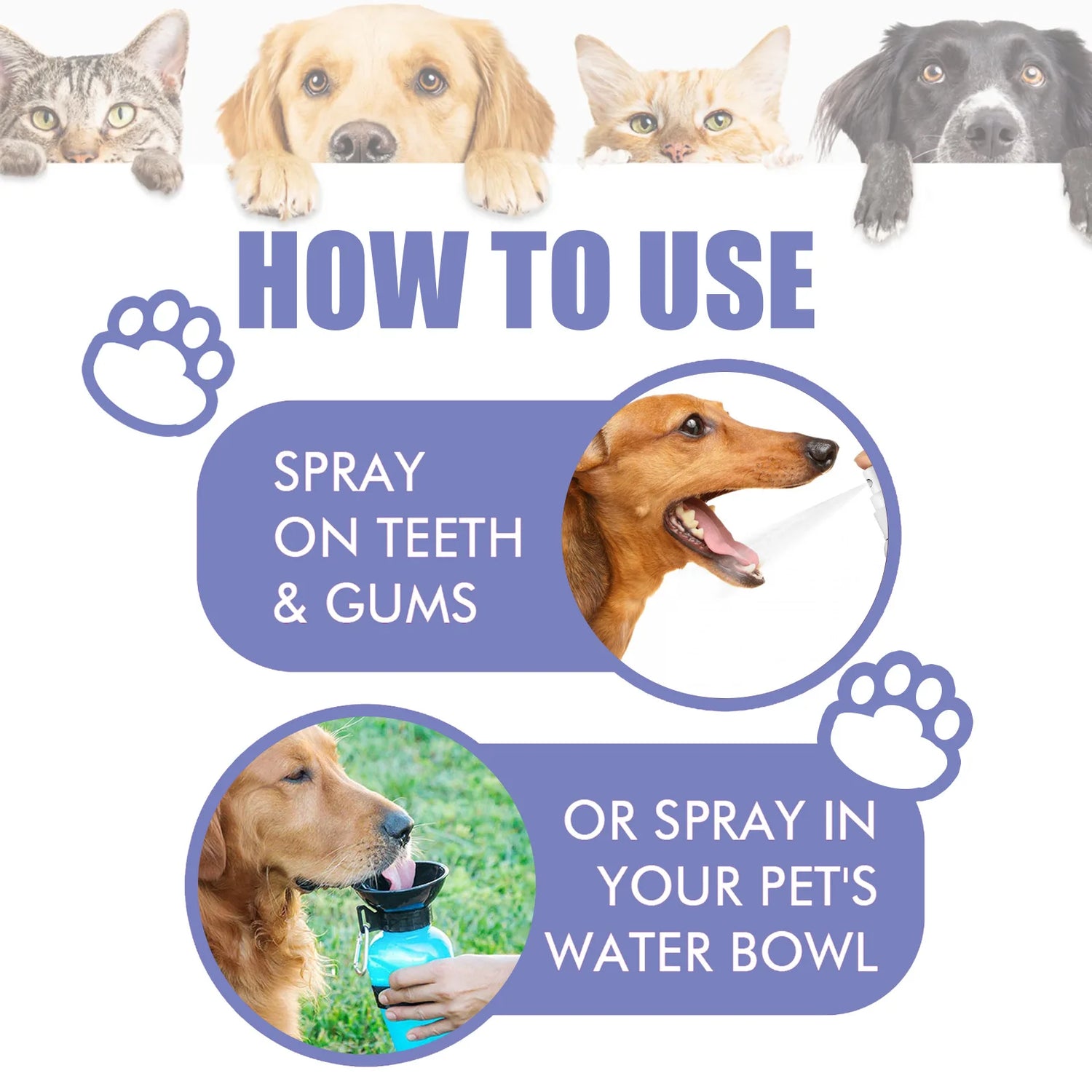 Dog Dental Cleaning Spray