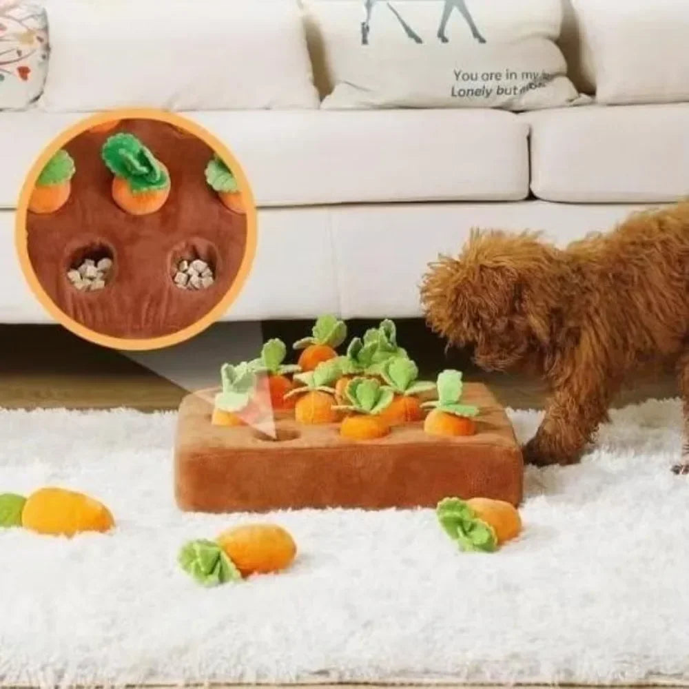 Carrot Snuffle Mat for Dog