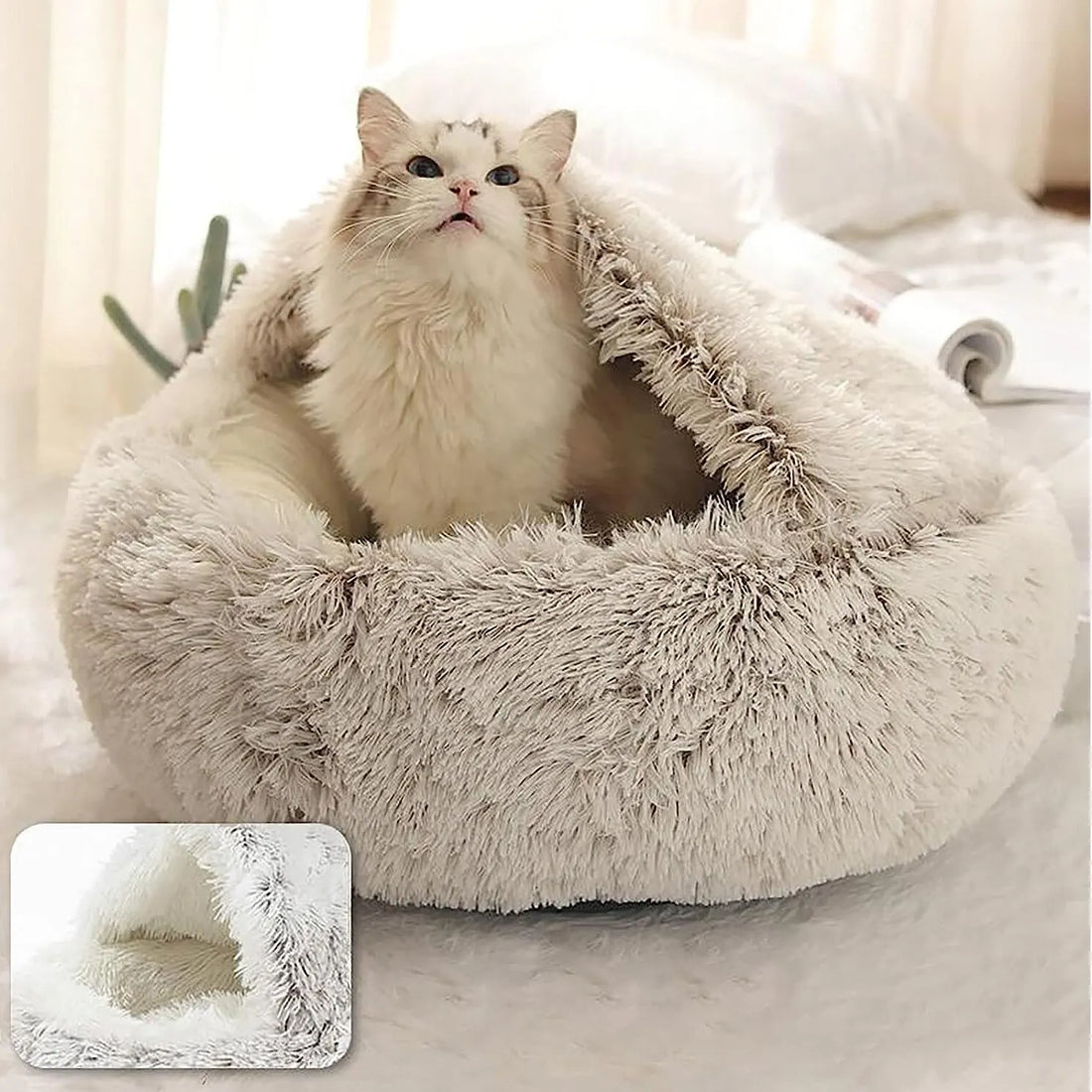 Round Cat Soft House