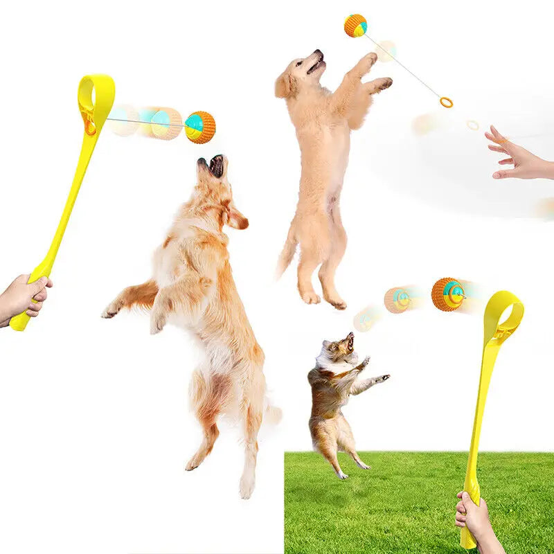 Air Strike Thrower For Dogs